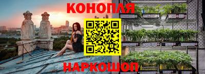 тгк Гусев
